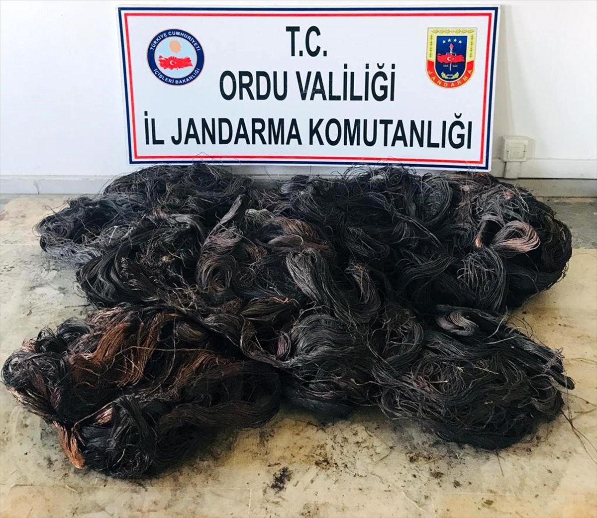 Ordu\'da enerji nakil kablolarını çalan 2 şüpheli yakalandı
