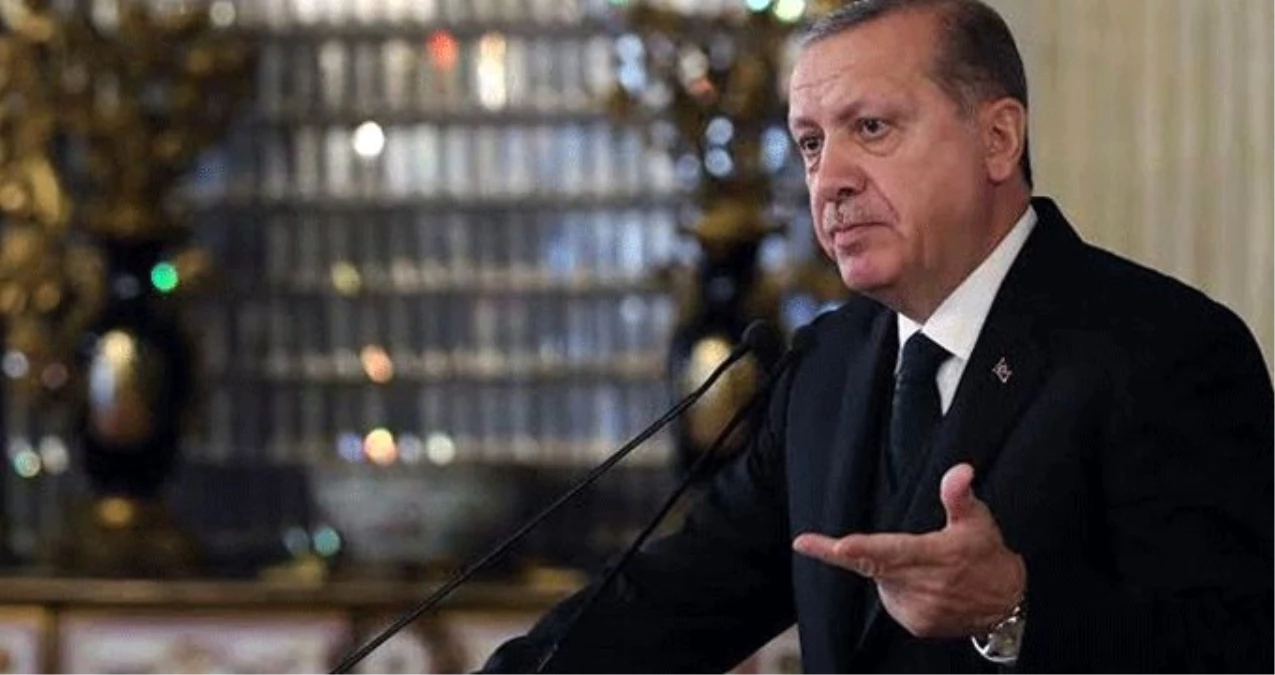 Erdoğan, santral bacalarına filtre takılmasını erteleyen düzenlemeyi veto etti