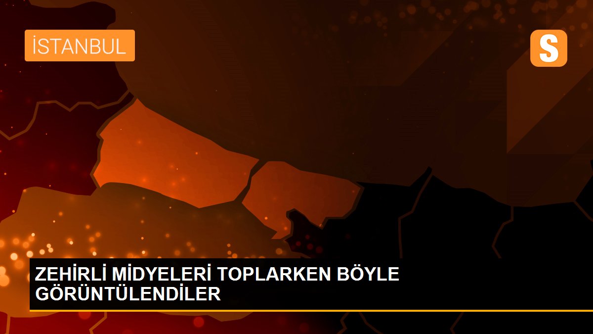  ZEHİRLİ MİDYELERİ TOPLARKEN BÖYLE GÖRÜNTÜLENDİLER