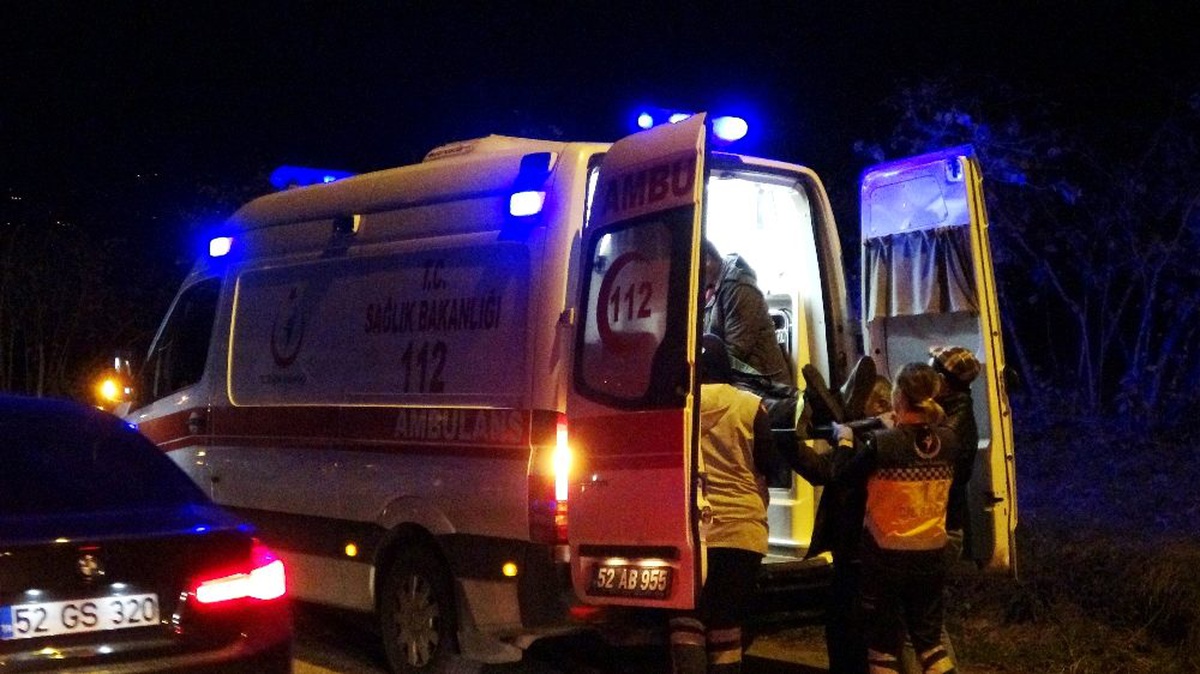 Ordu\'da trafik kazası: 1\'i çocuk 4 yaralı