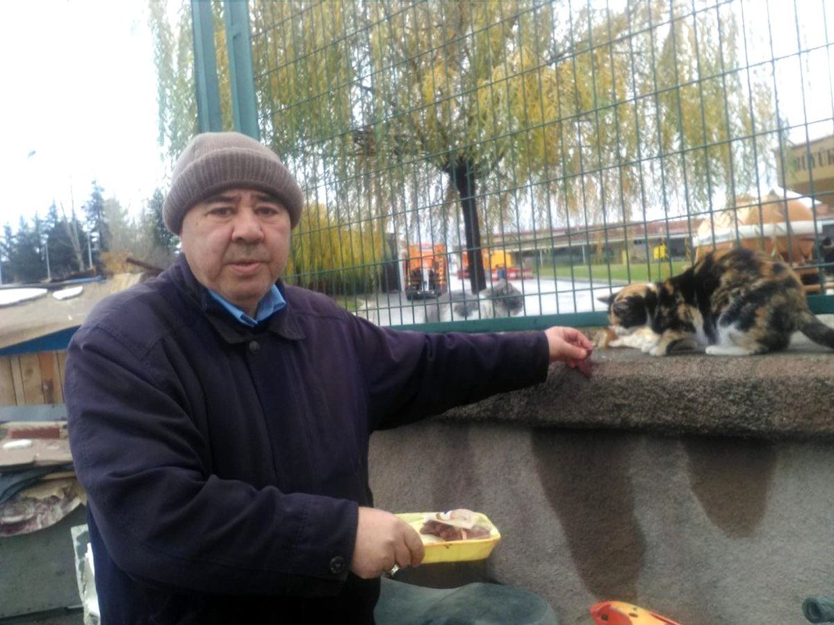 Tombik\'in keyfi yerinde