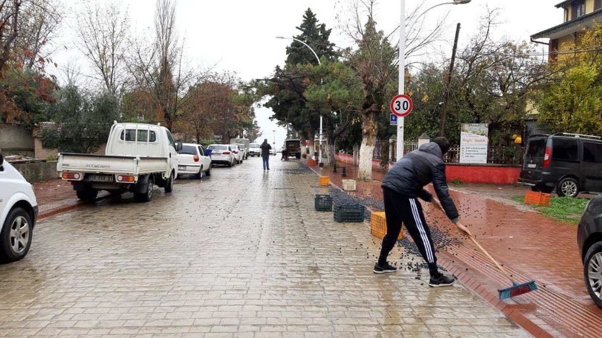 450 kilo zeytin yola saçıldı