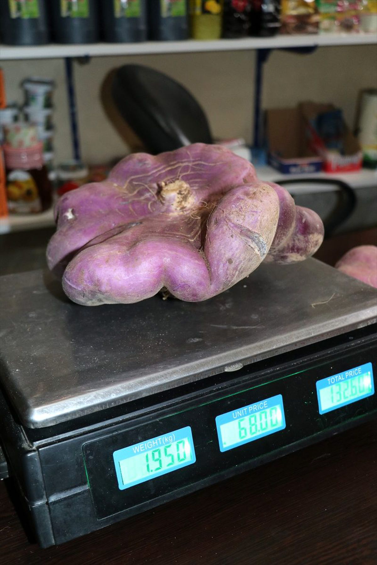 Batman\'da 2 kilogramlık turplar ilgi odağı oldu