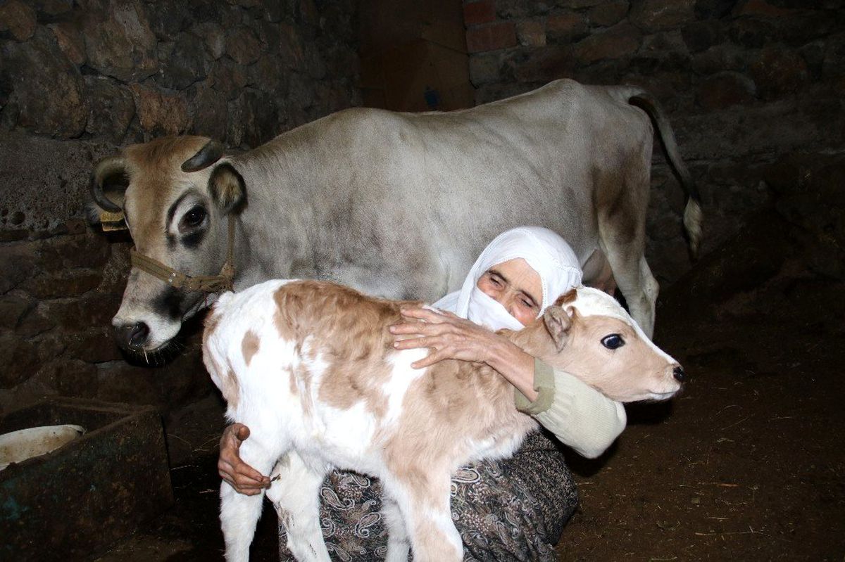 Cemile teyzenin mutluluk fotoğrafı