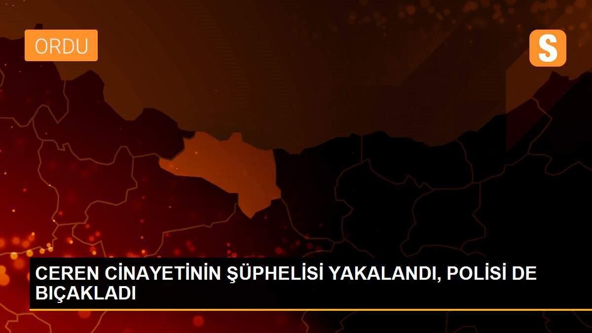CEREN CİNAYETİNİN ŞÜPHELİSİ YAKALANDI, POLİSİ DE BIÇAKLADI