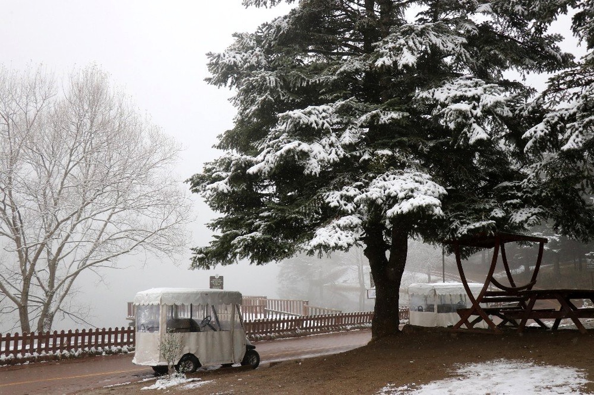 Gölcük Tabiat Parkı kar yağışıyla beyazlara büründü