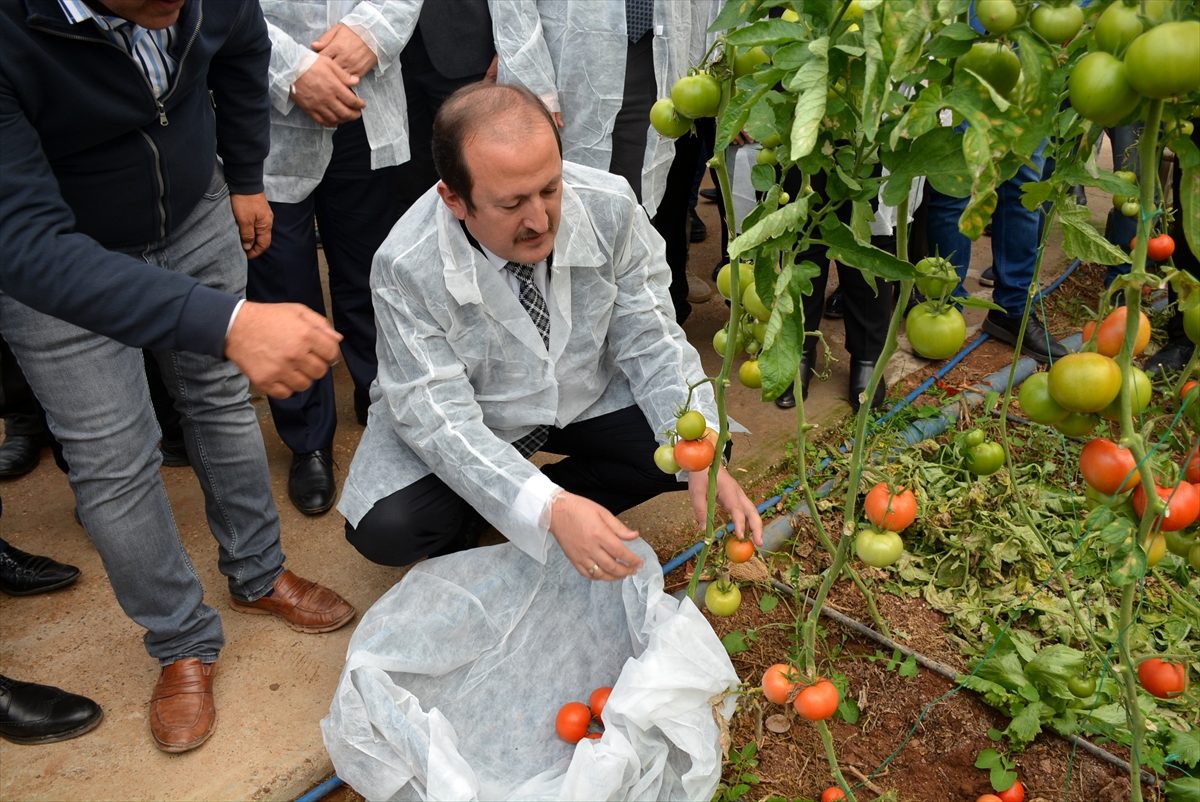 Habur Sınır Kapısı\'ndan ihracat yüzde 30 yükseldi