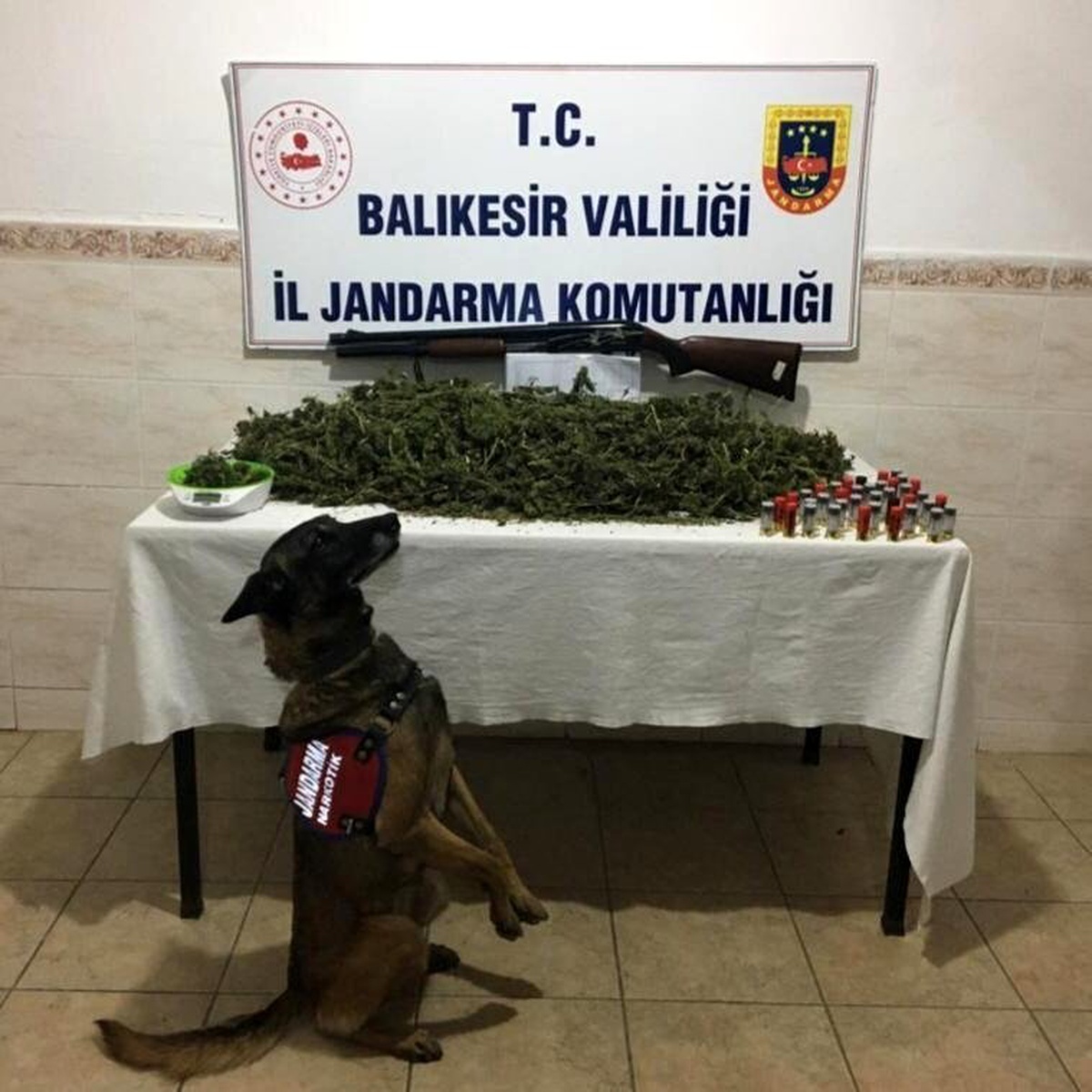 Jandarma suçtan kazanılan 121 çeyrek, 1 tam ve 4 altın bilezik ele geçirdi