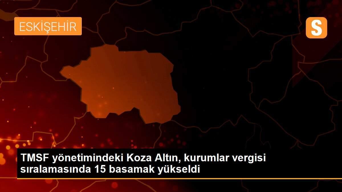 TMSF yönetimindeki Koza Altın, kurumlar vergisi sıralamasında 15 basamak yükseldi