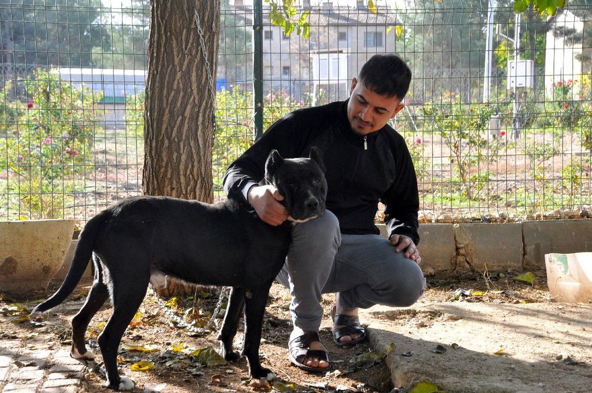 Zincirini kıran köpeğin şoke eden görüntüsü