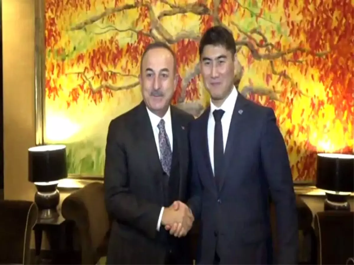 Bakan Çavuşoğlu, Kırgız mevkidaşı Aidarbekov ile görüştü