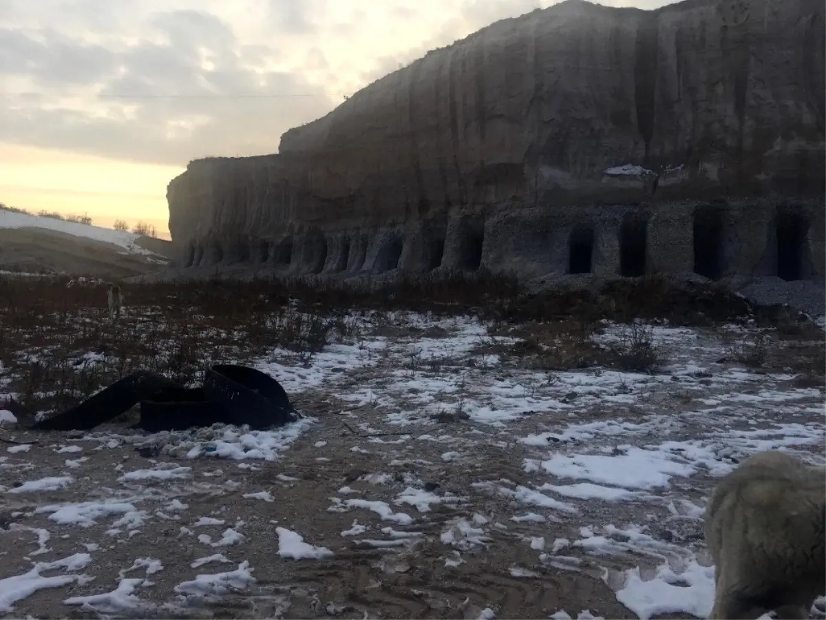 Belediye Başkanı köpekler için dağda oyuk açtırdı