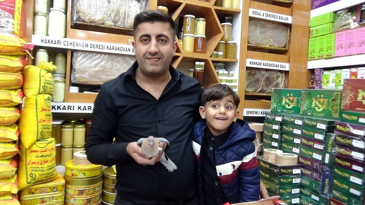 Davetsiz misafir artık ev sahibi oldu