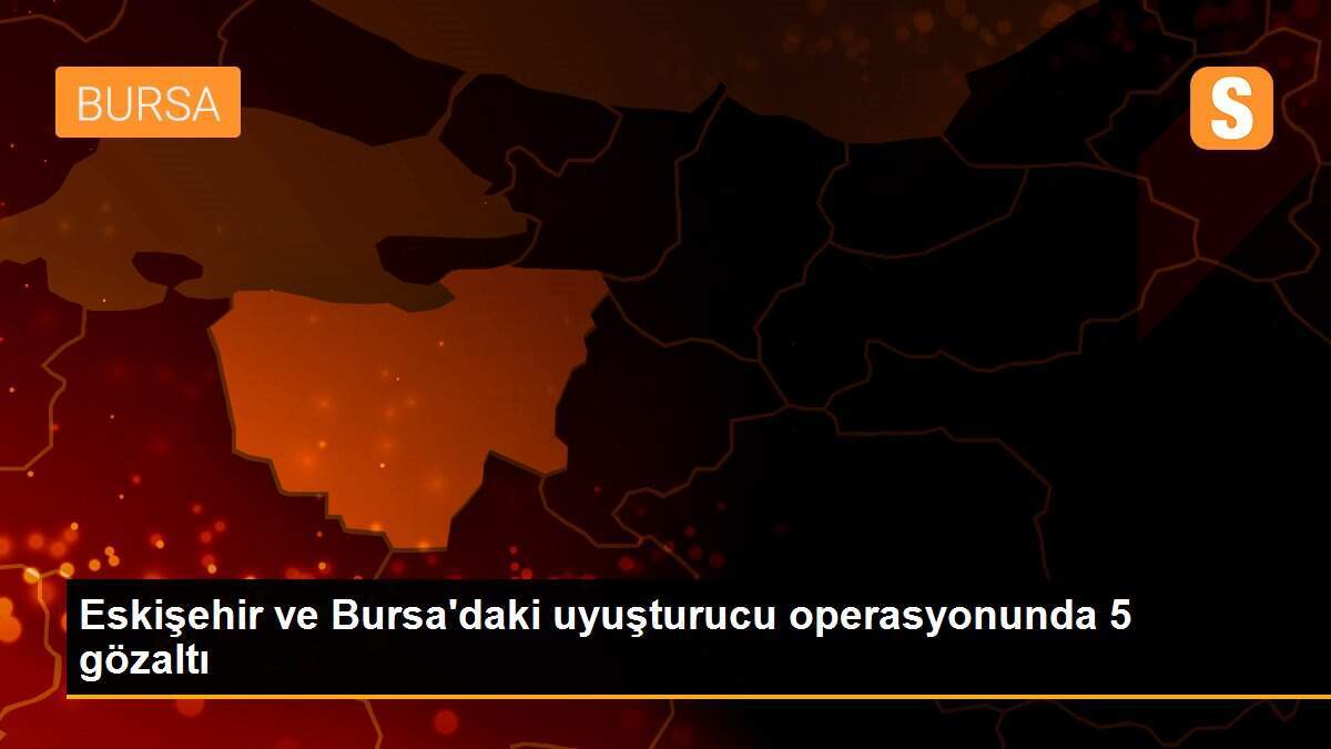 Eskişehir ve Bursa\'daki uyuşturucu operasyonunda 5 gözaltı