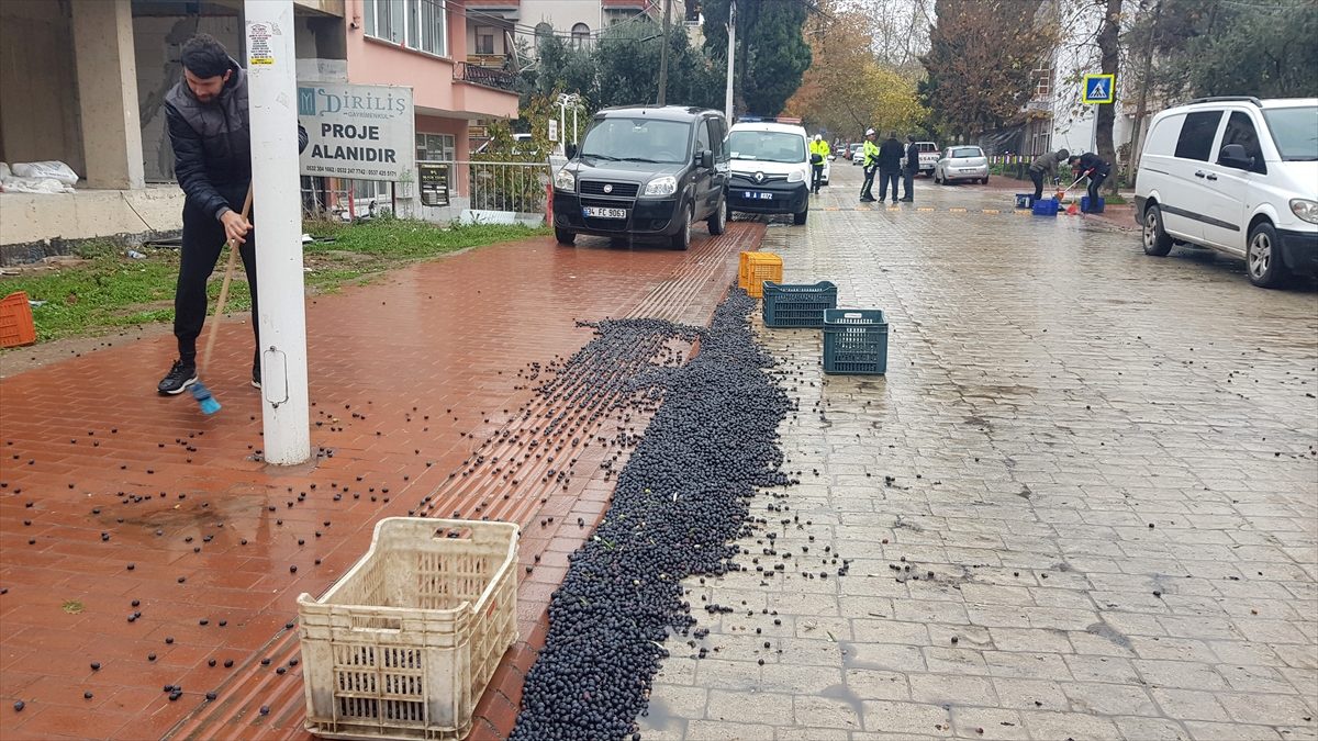 Kapağı açılan kamyonet kasasından 300 kilogram zeytin yola saçıldı