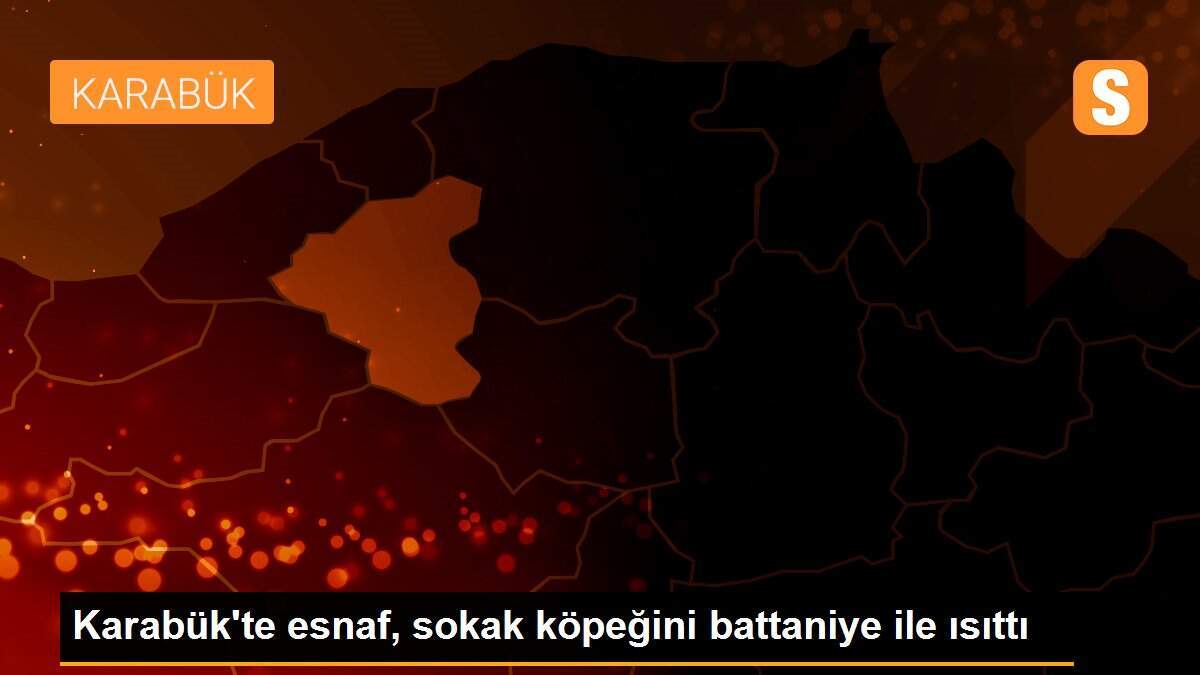 Karabük\'te esnaf, sokak köpeğini battaniye ile ısıttı
