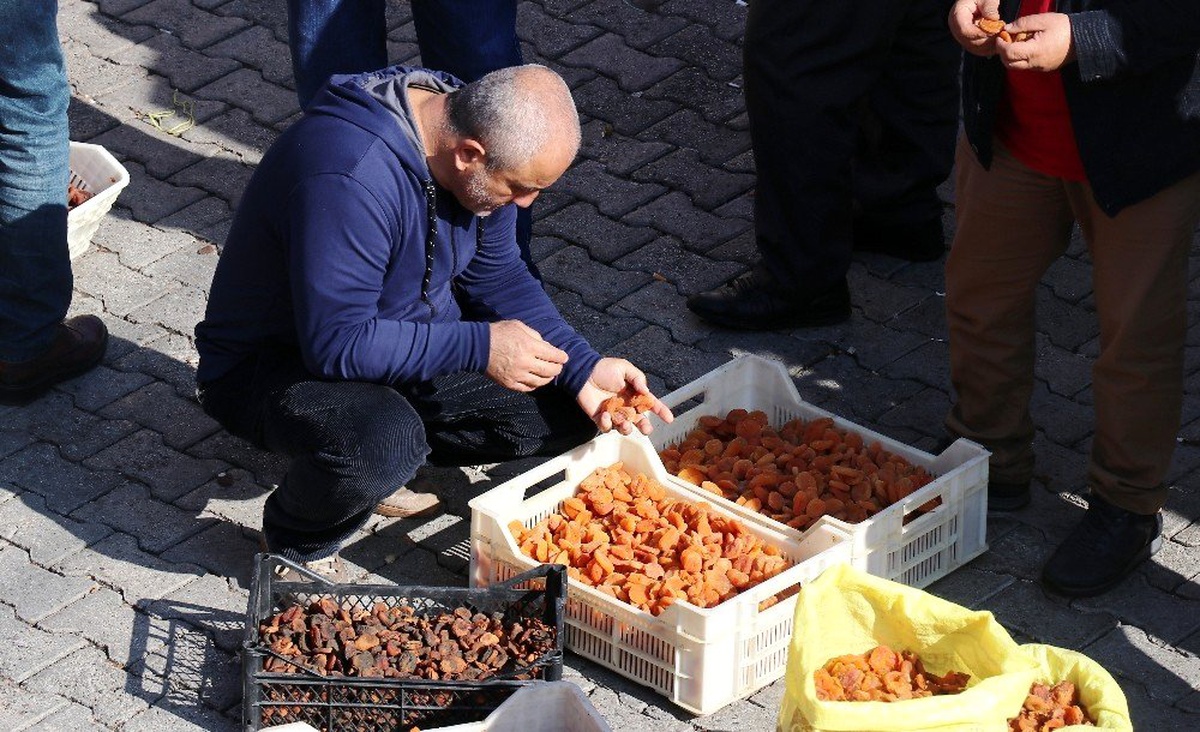 Kayısı ihracatında gelir düştü