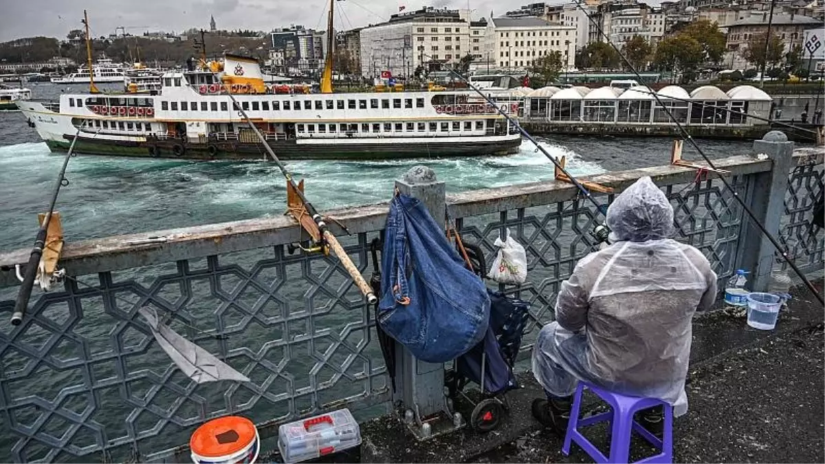 OECD\'ye göre, vergi gelirlerinin, Gayri Safi Yurt İçi Milli Hasılaya oranında Türkiye son sıralarda