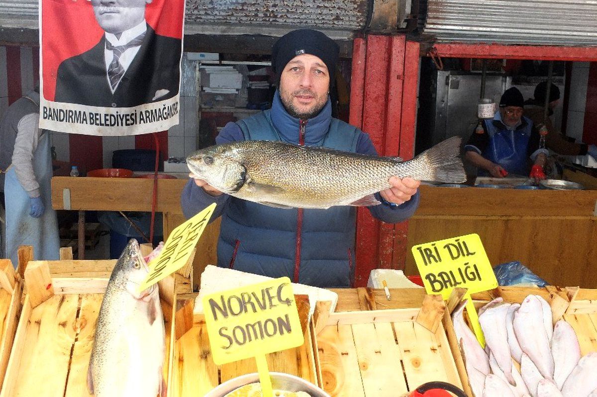 (Özel) Son iki yılda palamut yüzde 90 azaldı