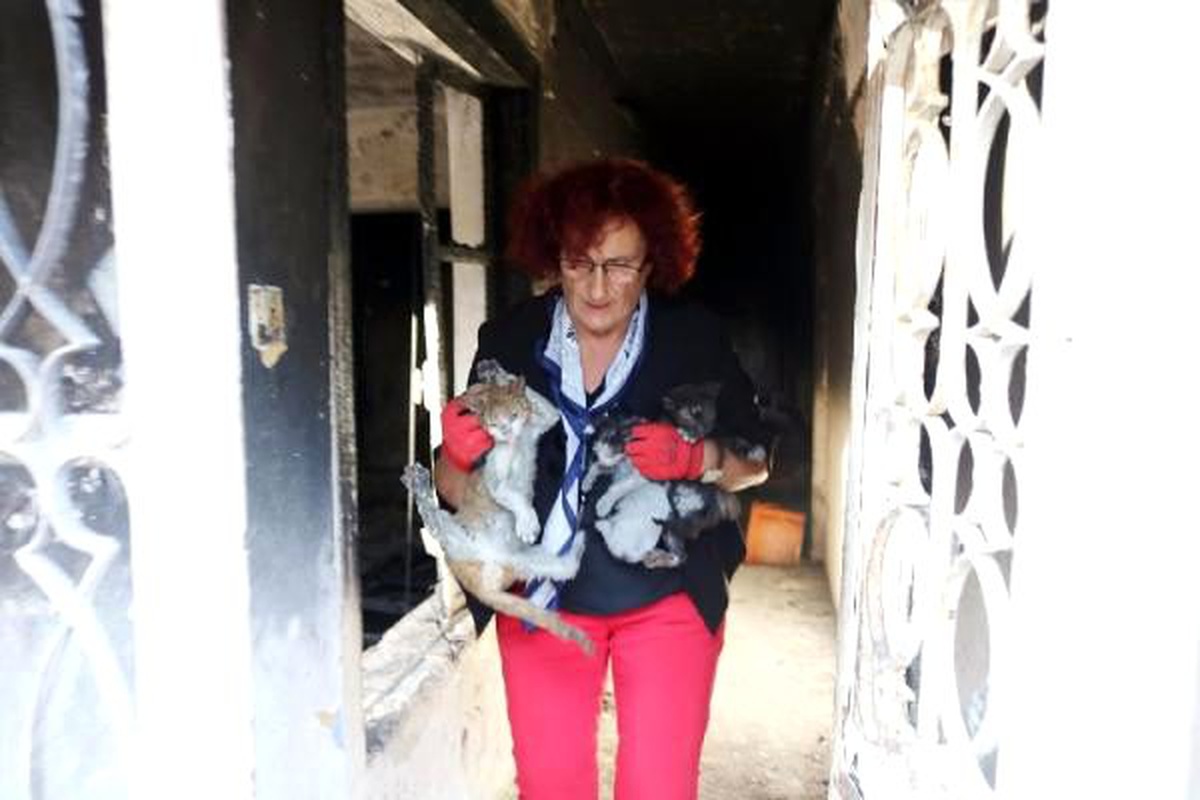 Yangında öldüğü sanılıyordu, cinayete kurban gitmiş