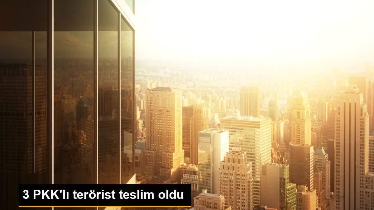 3 PKK\'lı terörist teslim oldu