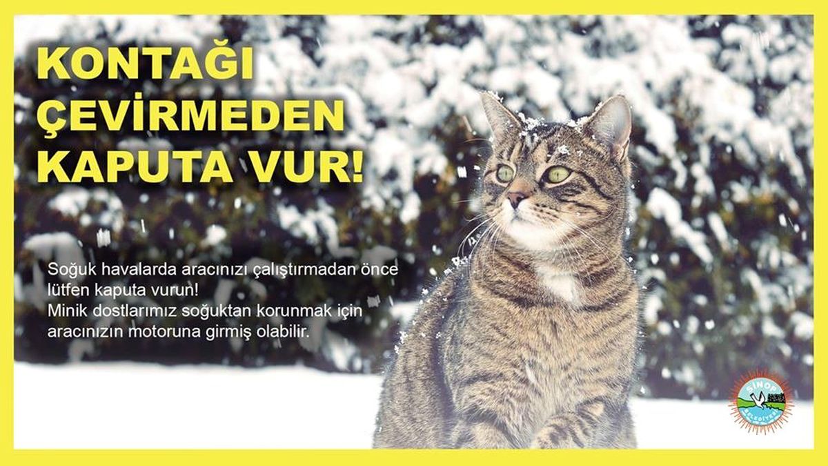 Belediyeden "Kontağı çevirmeden önce kaputa vur" çağrısı