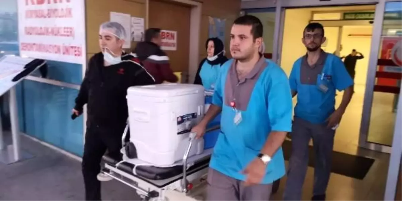 İntihar eden gencin organları 3 hastaya umut oldu