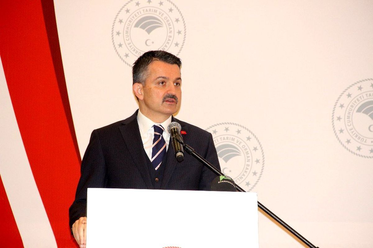 "İthalatı sonlandırmakta kararlıyız"