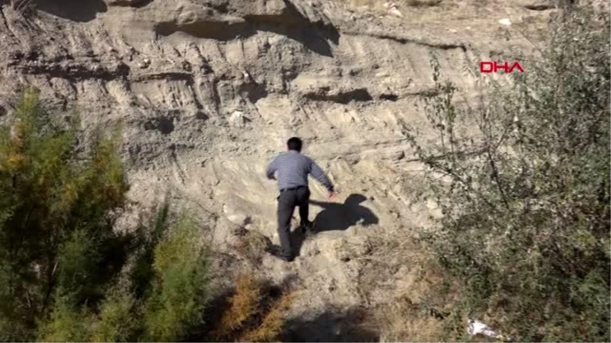 Kayseri veterinerin bulduğu 7,5 yıllık fosiller için kazı yapılacak