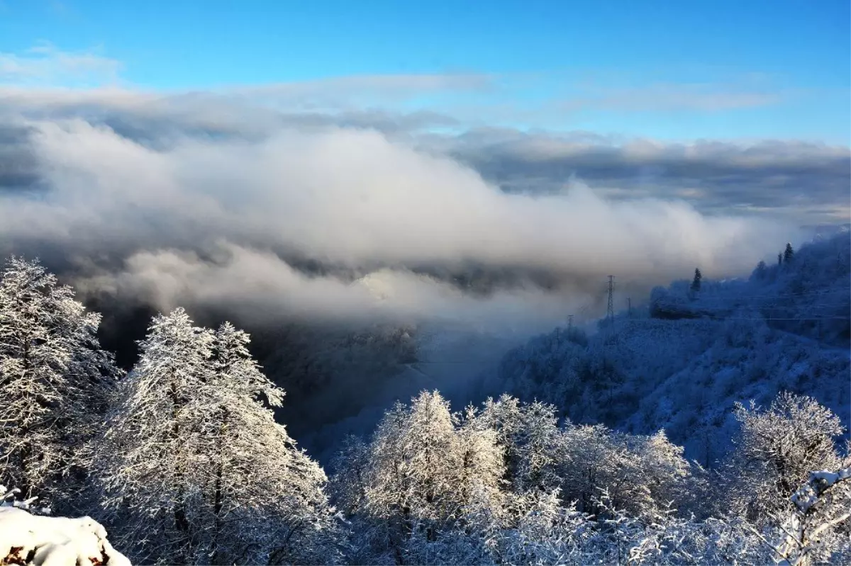 Ordu\'da kar güzelliği