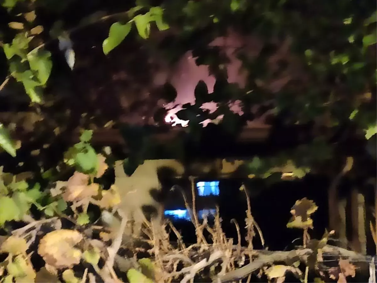 Samandağ\'da kulübede çıkan yangın kontrol altına alındı
