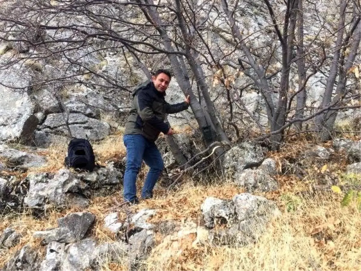 10 yıl önce görülen dağ keçilerine fotokapanlı koruma