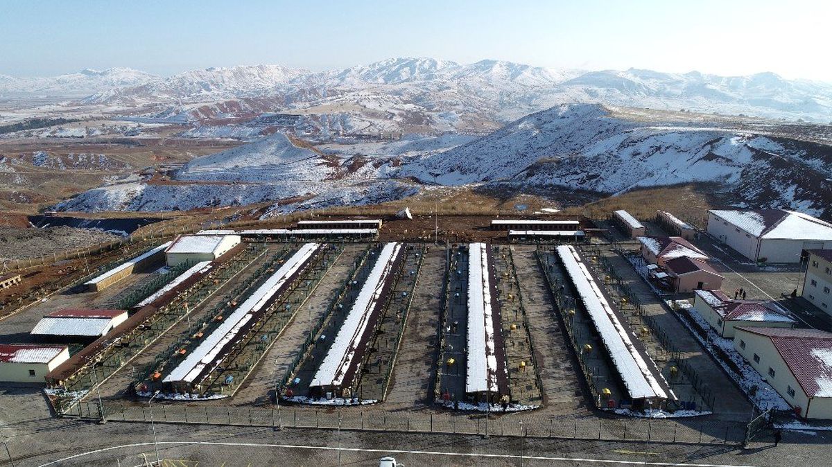 Beş yıldızlı hayvan oteli, hayvanların sıcak yuvası oldu