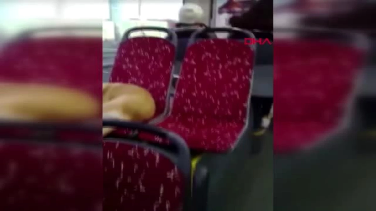 Beşiktaş\'ta şoförün otobüse aldığı üşüyen köpek koltukta uyuyakaldı