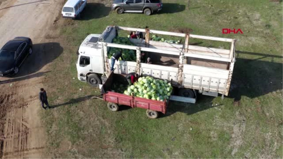 Bursa lahana fiyatı üreticiden tüketiciye gidene kadar 4 kat artıyor