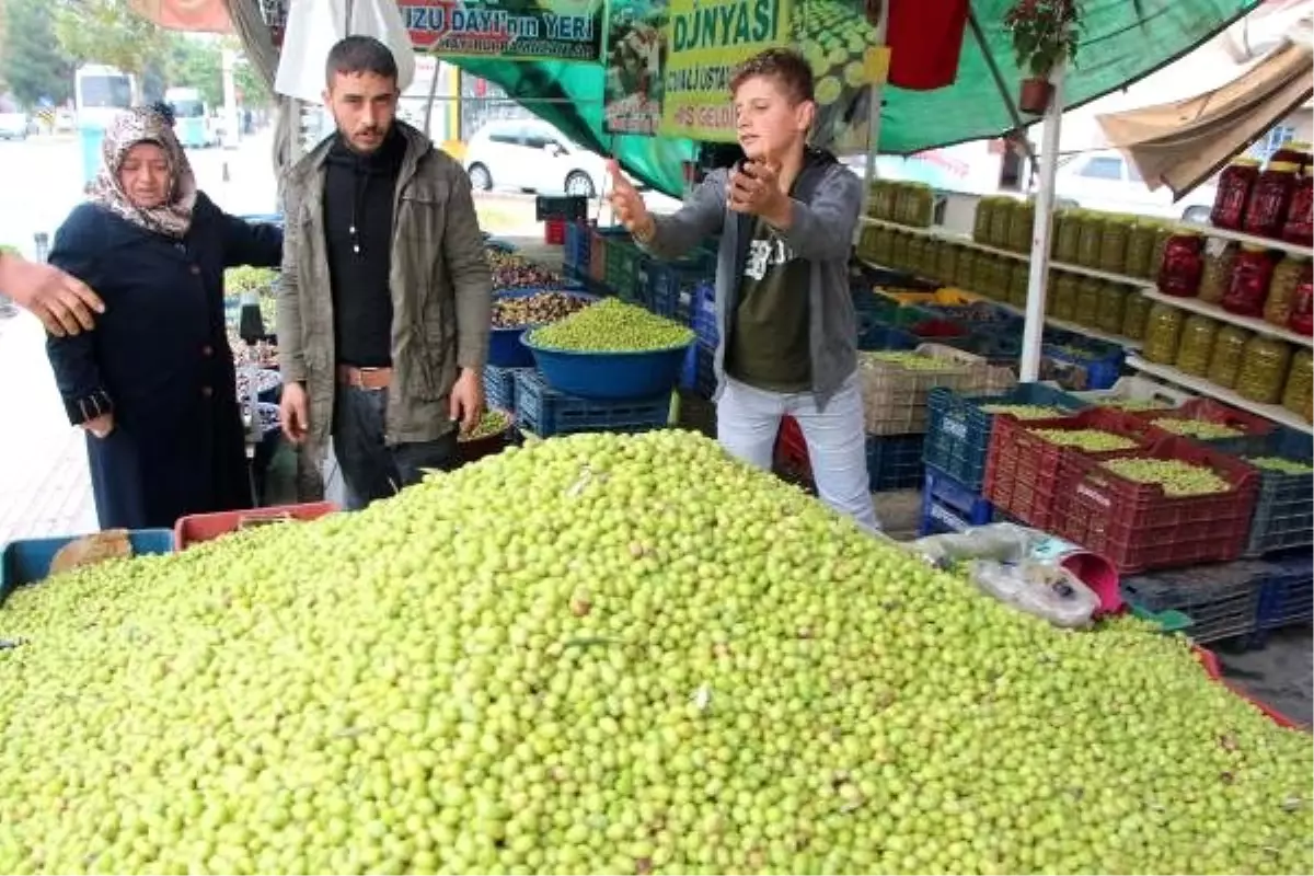 Günde 8 ton Şanlıurfa zeytini satılıyor