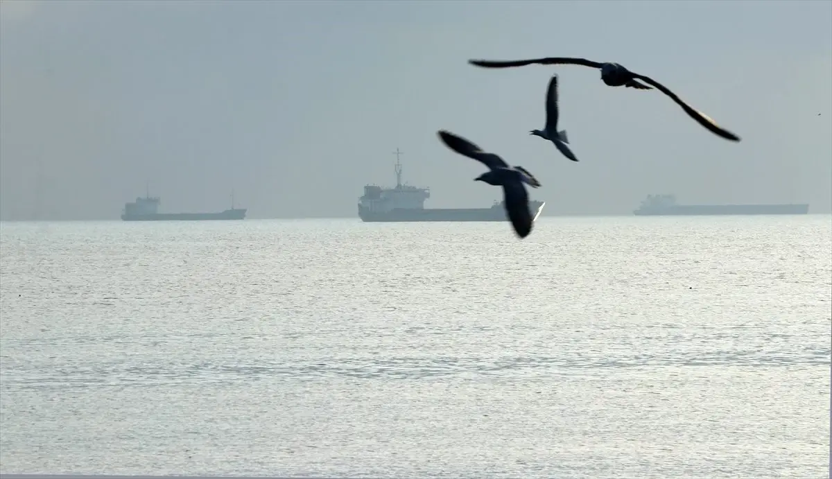 Marmara Denizi\'nde poyraz etkisini kaybetti