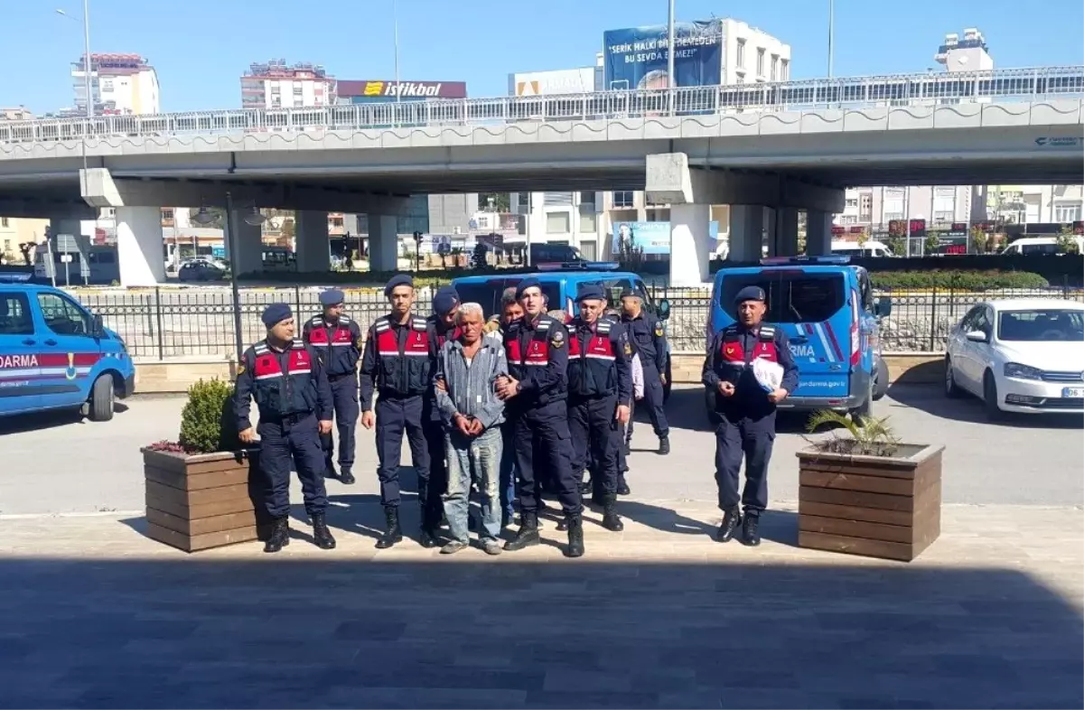 Miras davasında baba ile oğula ceza yağdı