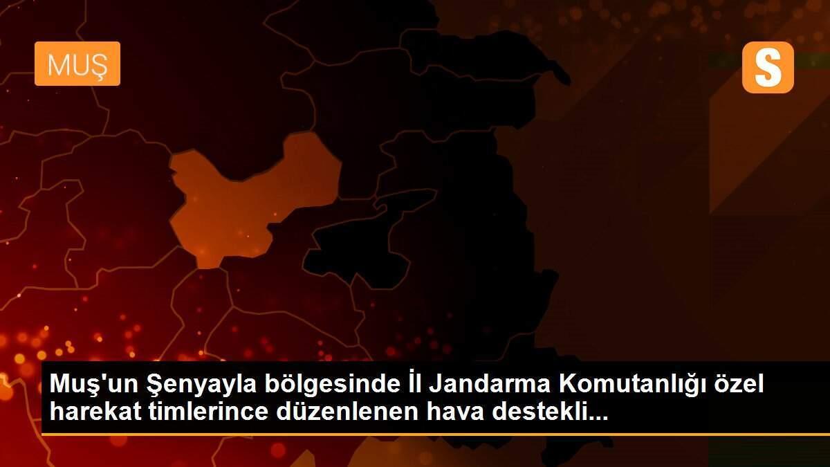 Muş\'un Şenyayla bölgesinde İl Jandarma Komutanlığı özel harekat timlerince düzenlenen hava destekli...