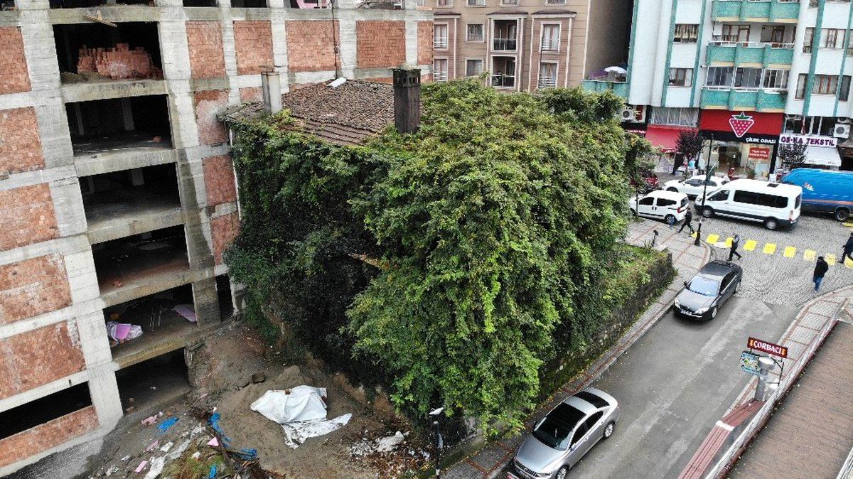 Rize\'deki sarmaşık kaplı ev görenleri şaşırtıyor