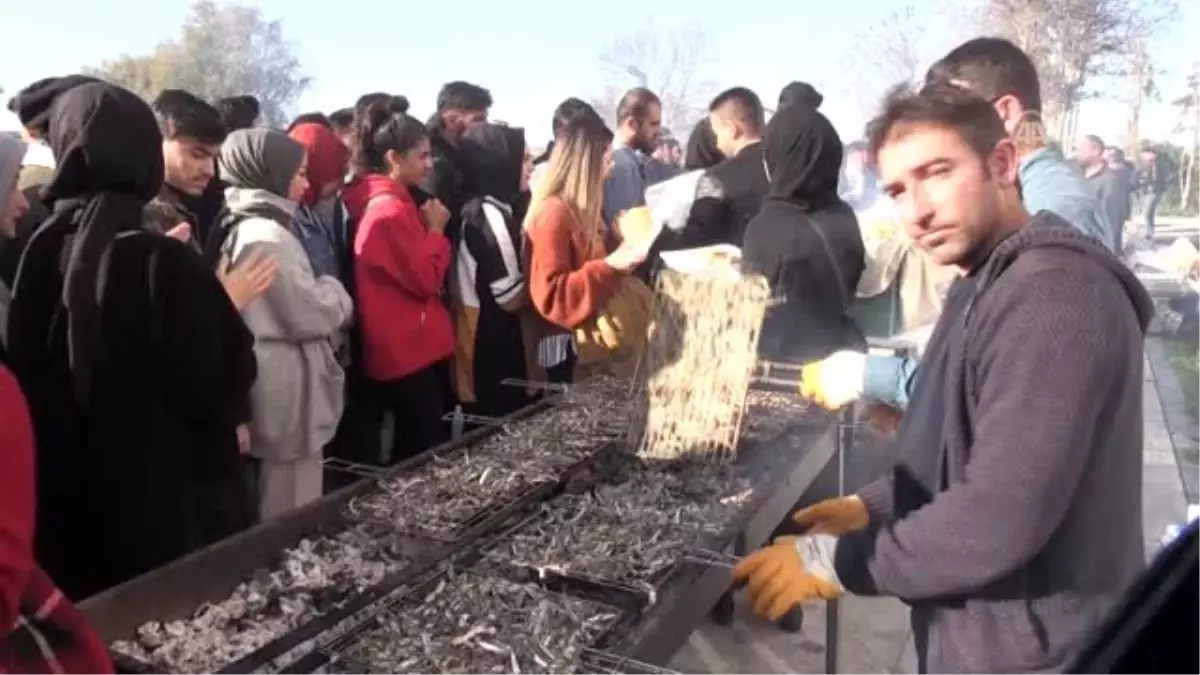 Sinop Üniversitesi Hamsi Şenliği\'nde öğrencilere 1 ton hamsi ikram edildi