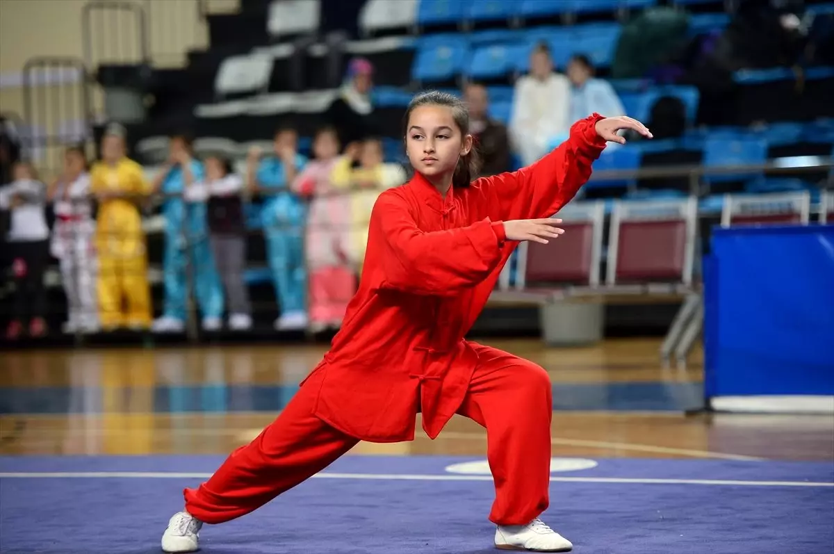 Wushu Kung Fu Geleneksel Türkiye Şampiyonası, Sakarya\'da başladı