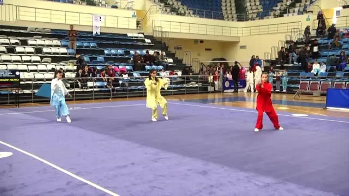 Wushu Kung Fu Geleneksel Türkiye Şampiyonası başladı