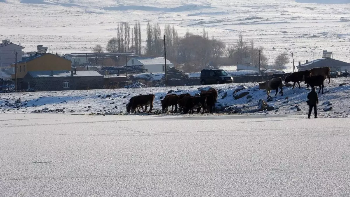 Ardahan\'da Aktaş Gölü dondu