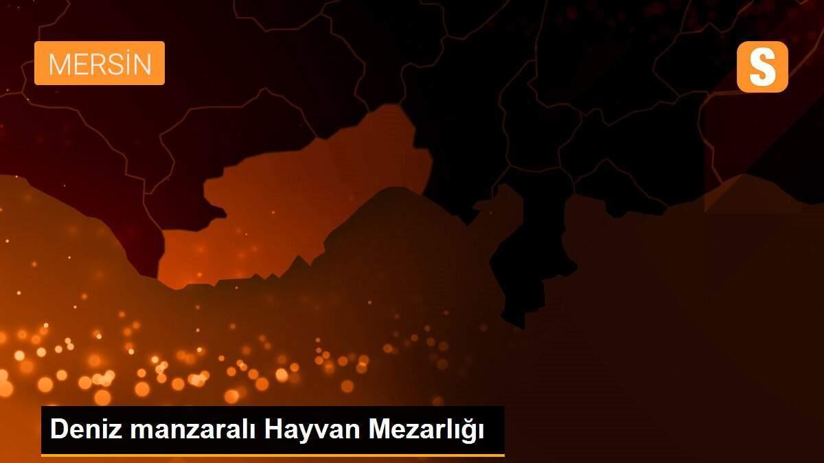 Deniz manzaralı Hayvan Mezarlığı