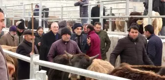 Ensar Ögüt, hayvan pazarında besicilerle bir araya geldi