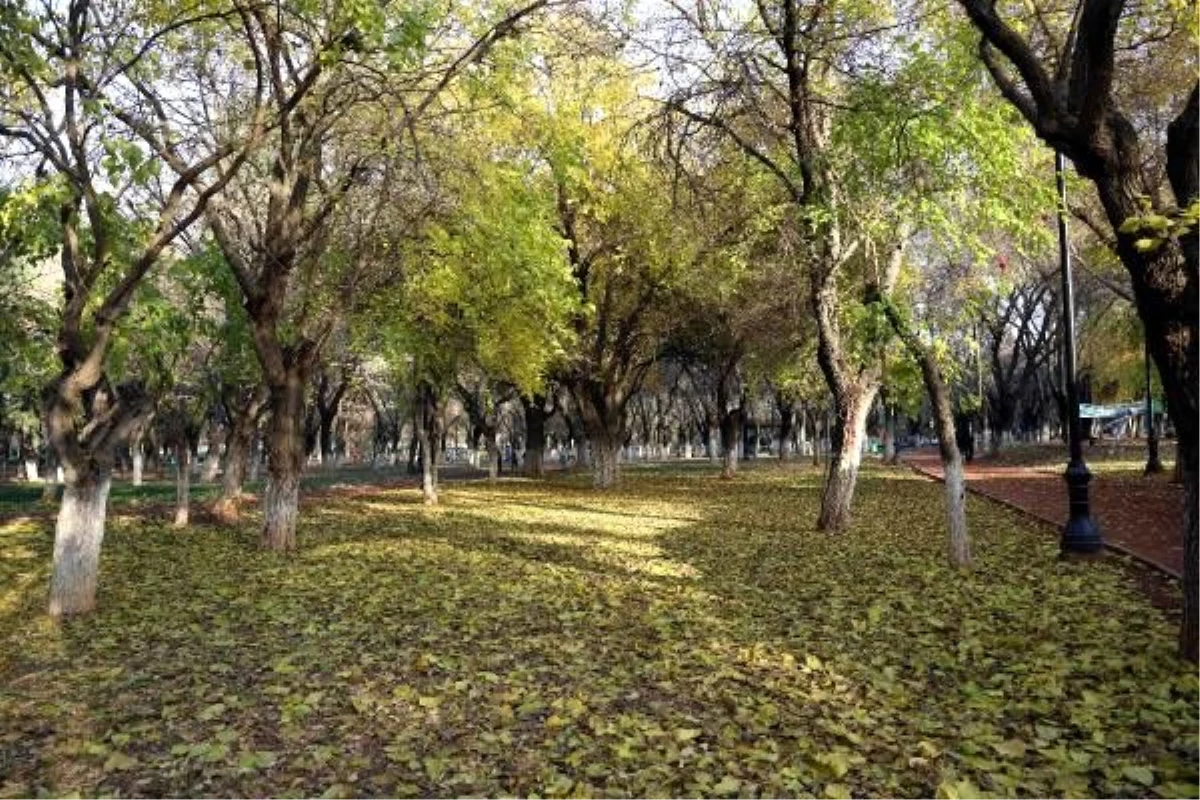 Gaziantep\'te kış mevsiminde sonbahar manzarası