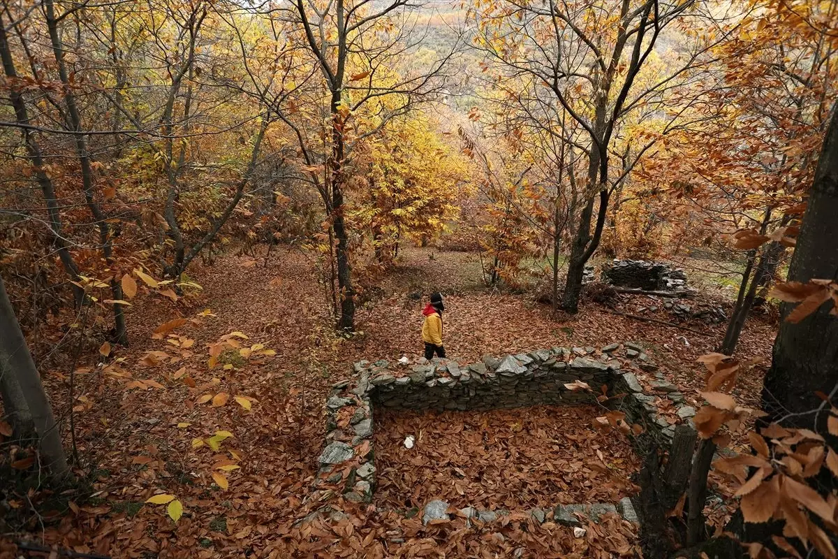 Aydın dağlarında renk cümbüşü