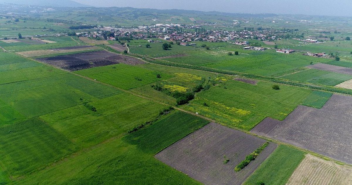 Bursa, Yalova ve Kocaeli\'de 123 bin 150 dekar alanda toplulaştırma yapıldı