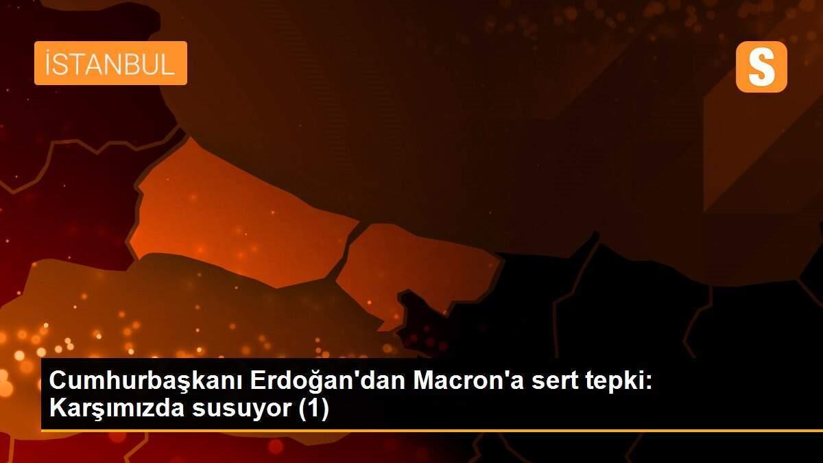 Cumhurbaşkanı Erdoğan\'dan Macron\'a sert tepki: Karşımızda susuyor (1)